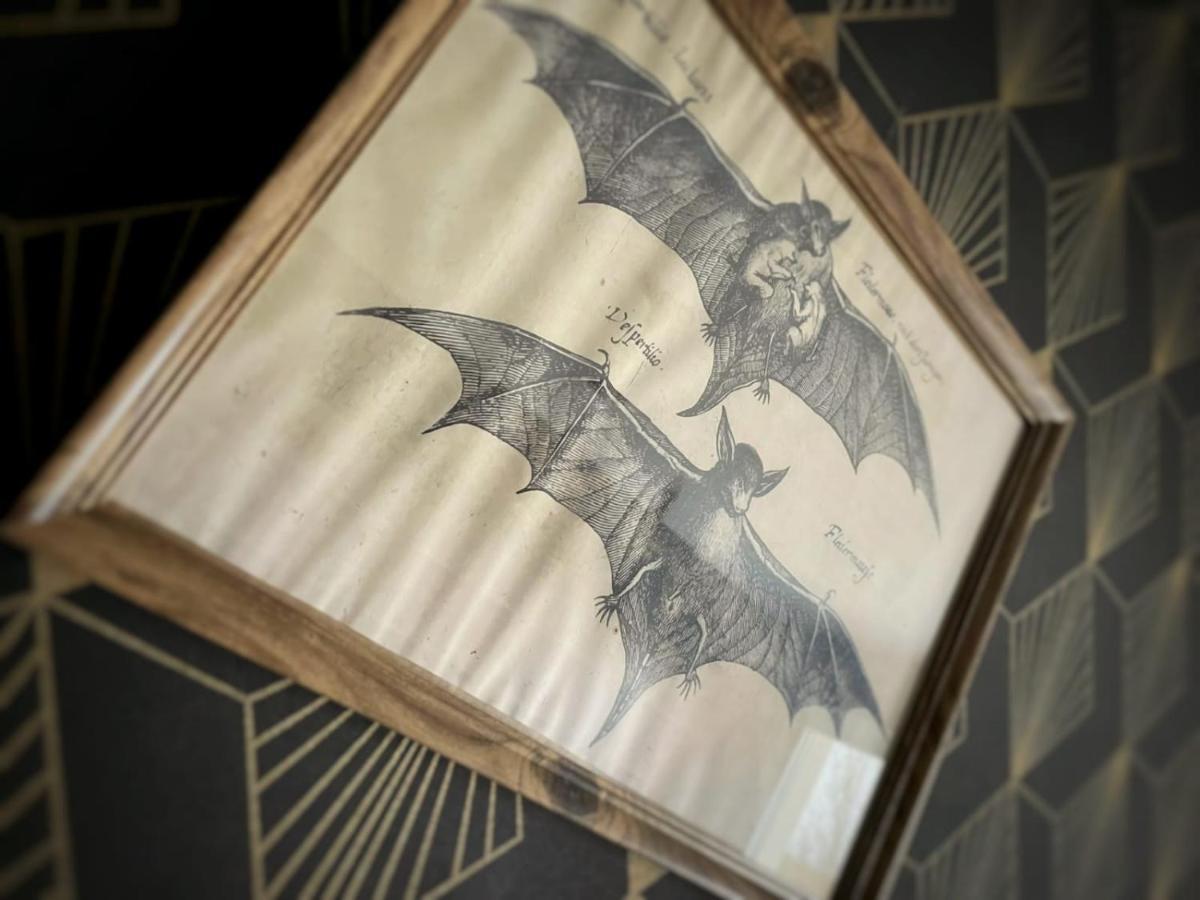 New - Bat'Appart - Dijon - Insolite Longvic Bagian luar foto