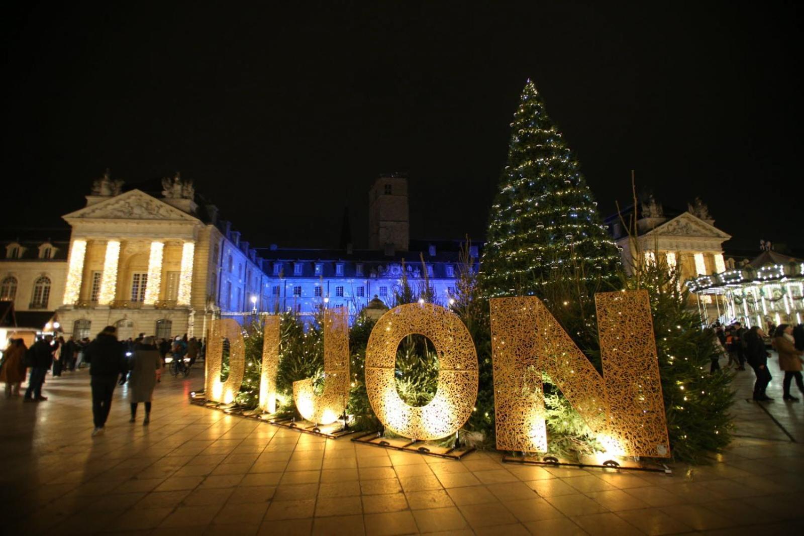 New - Bat'Appart - Dijon - Insolite Longvic Bagian luar foto